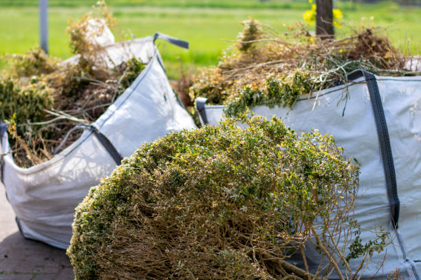 Best Professional Junk Removal  in Lake Shore, UT
