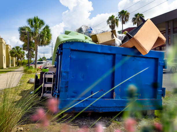 Best Basement Cleanout Services  in Lake Shore, UT